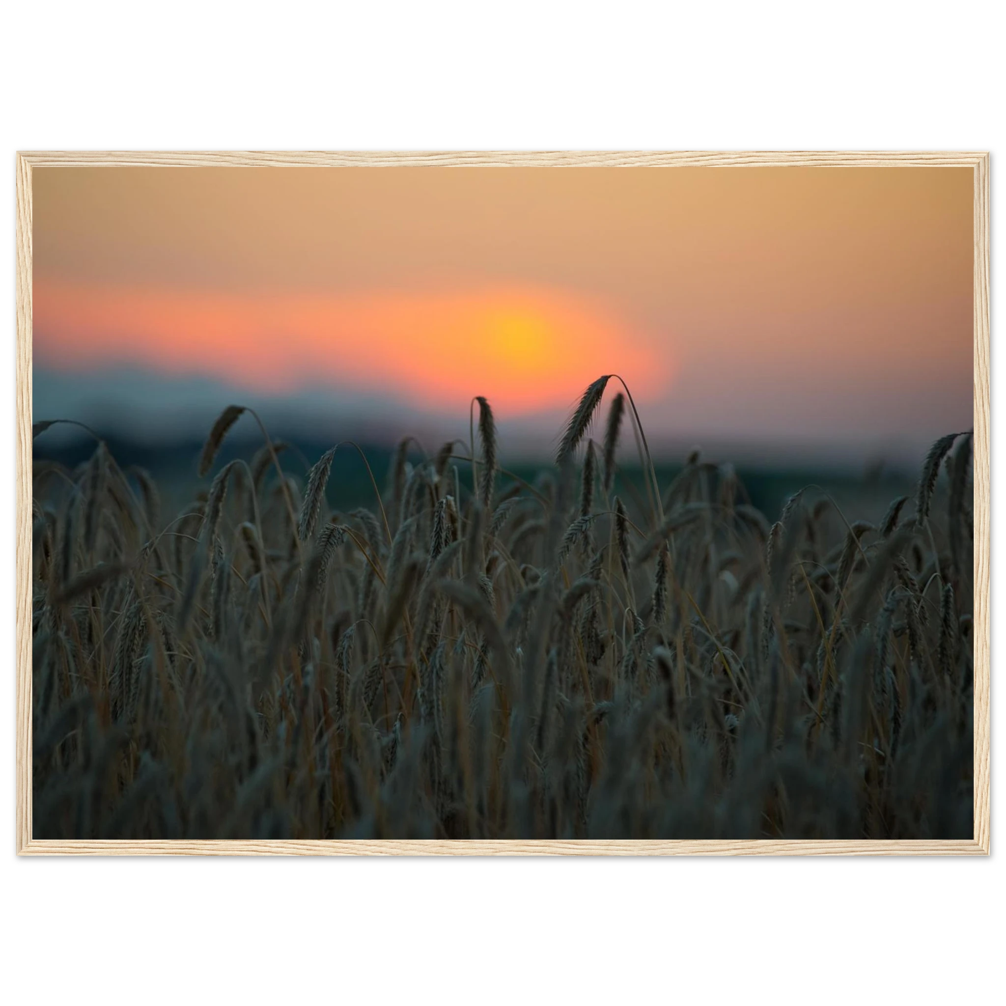 2ce012b5-9ce3-4566-b18c-a39f994ccba3