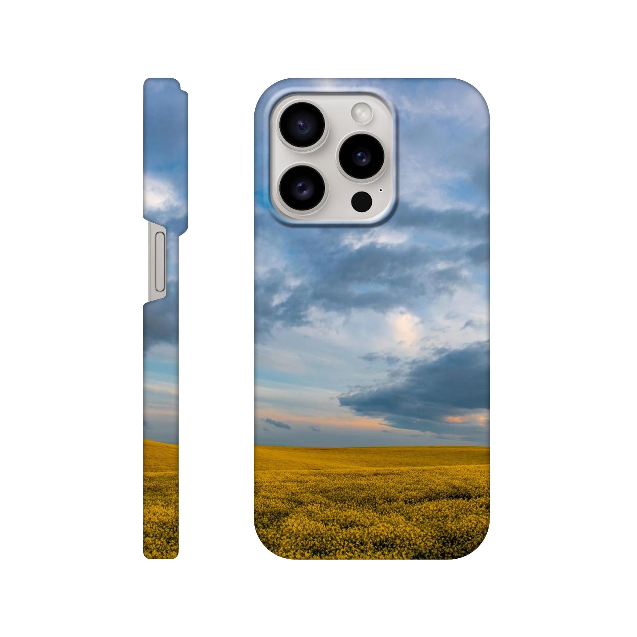 2da03e9d-e4e0-4803-bf93-5215ceada3c9