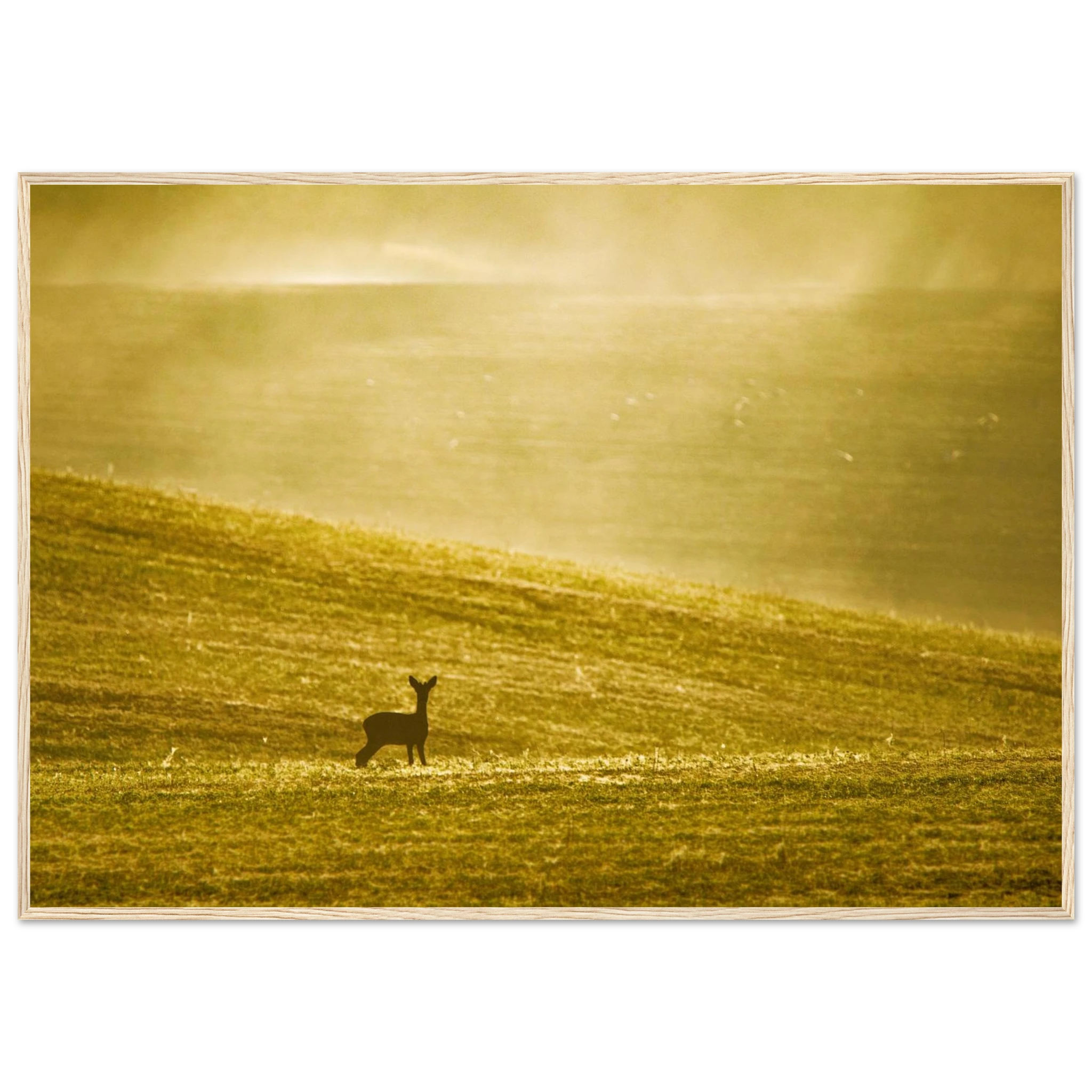 2dfeba3b-9522-4ba1-a946-3c5f9d70e638