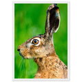 2dff1bdf-0640-476d-84c1-1804dcaeaf83
