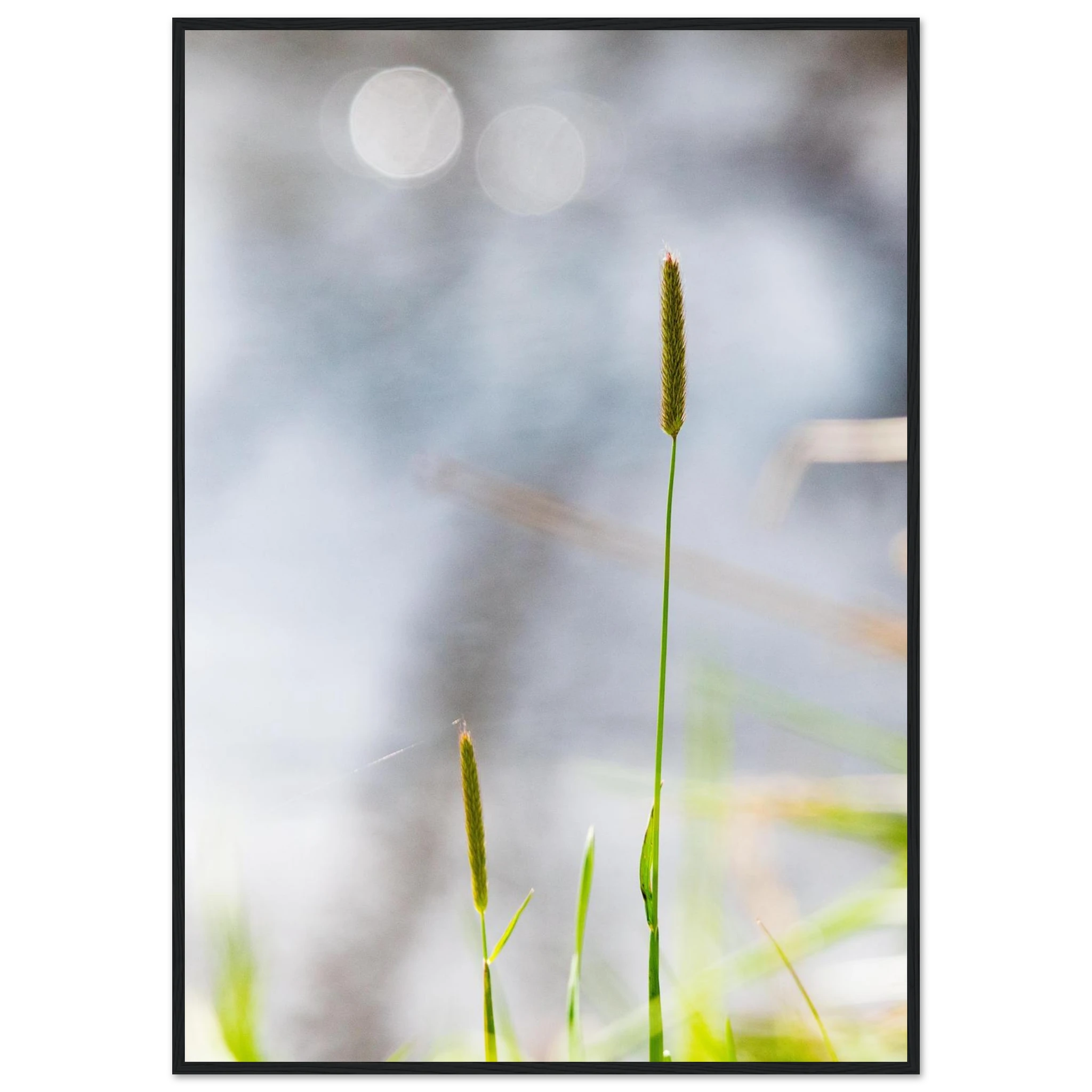 2e905bf9-7e02-4353-a559-42f0b0577426