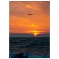 2f66975c-2c5a-4c5c-b04c-179ebac1149d