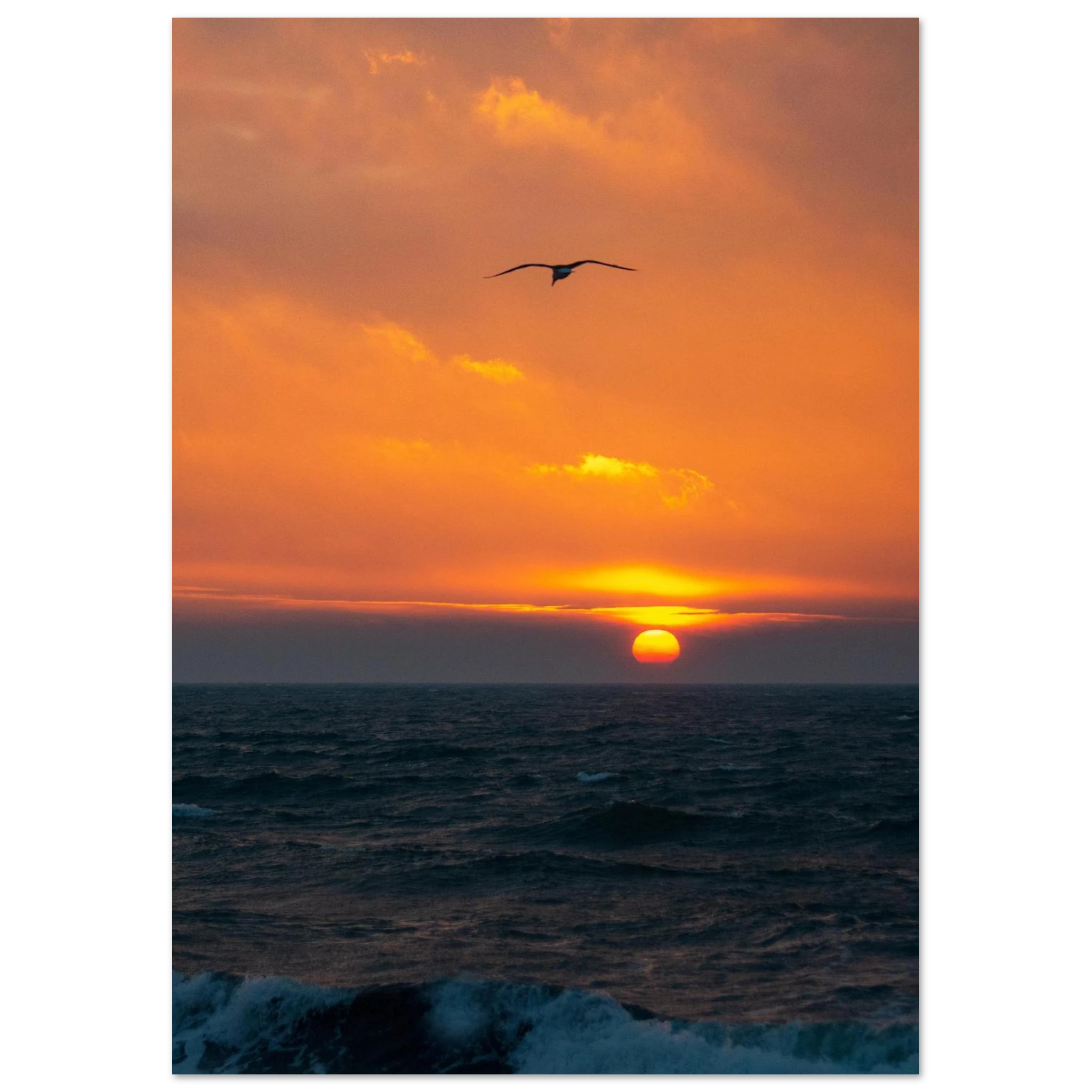 2f66975c-2c5a-4c5c-b04c-179ebac1149d