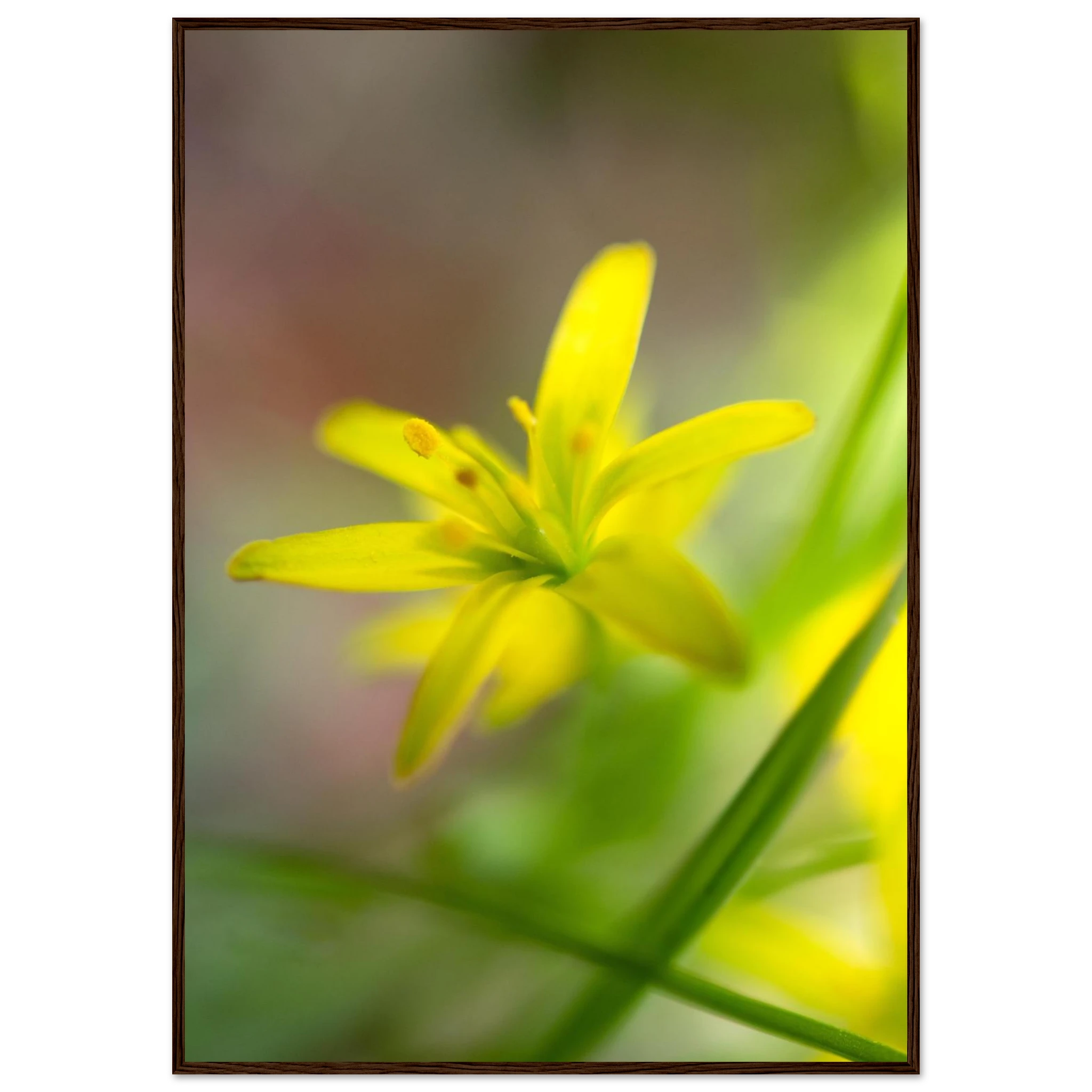 2ff4b1f9-62f8-4da9-95a8-91dcf380f38e