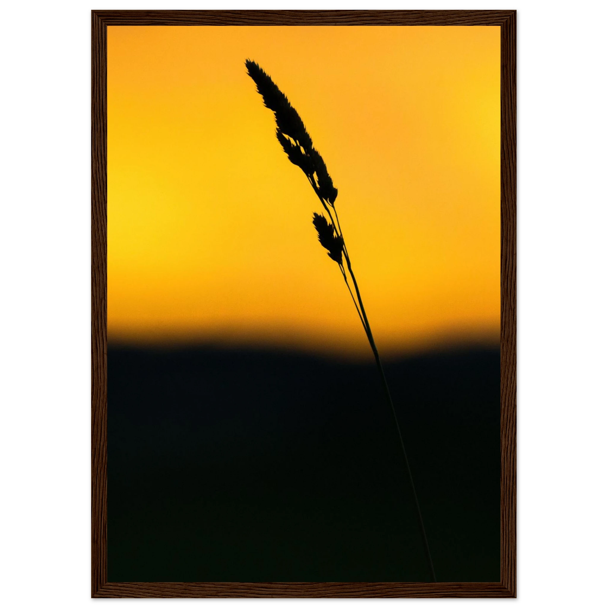 303b7b03-318b-4e64-a814-8d17ebb65039