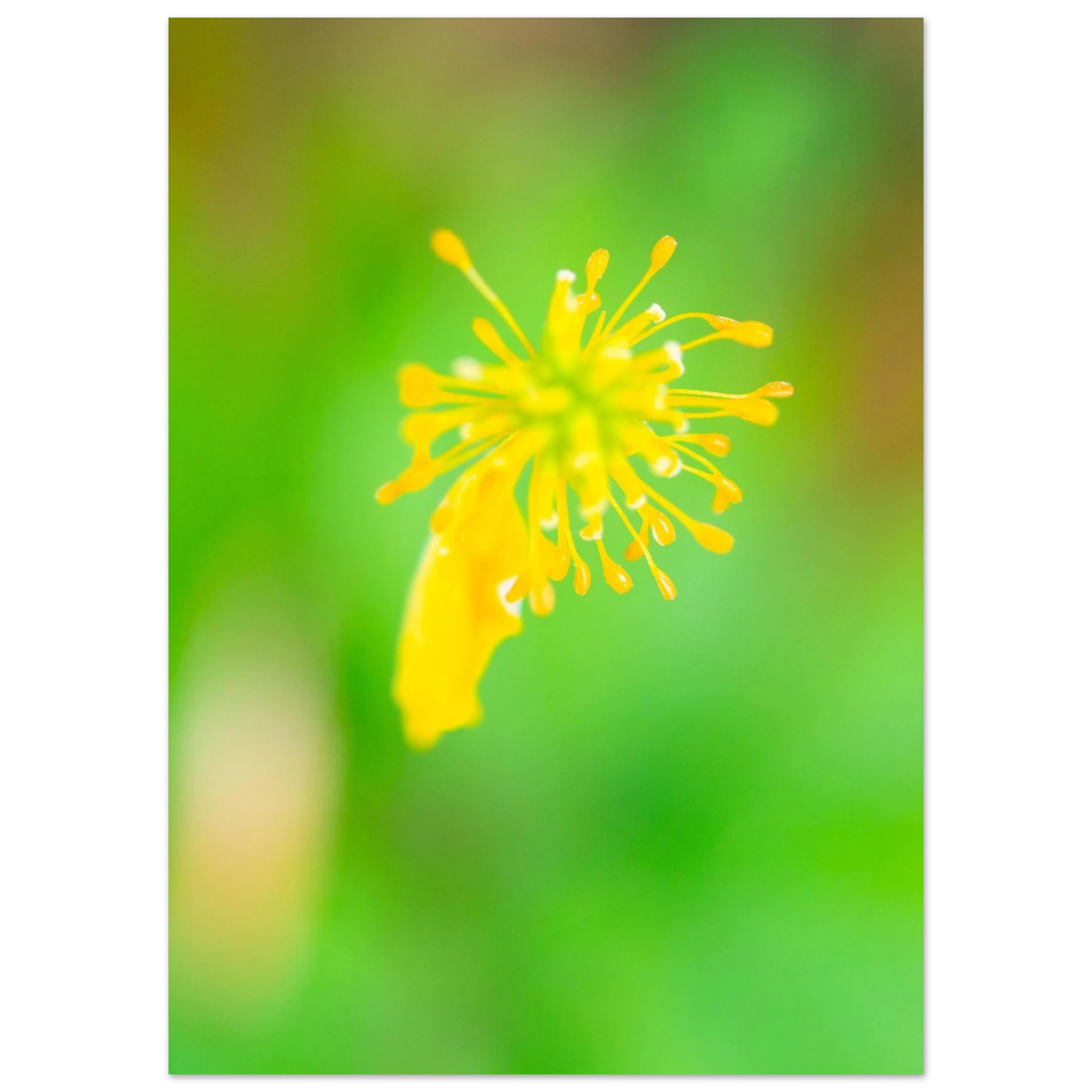 3071604a-c1b6-482b-af1f-e89b96fa5be9