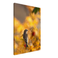 31046ee3-4fdd-4d13-87b1-a2ff4a8e8b41