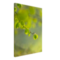 3131b325-6477-4b59-96dc-020c3df43258