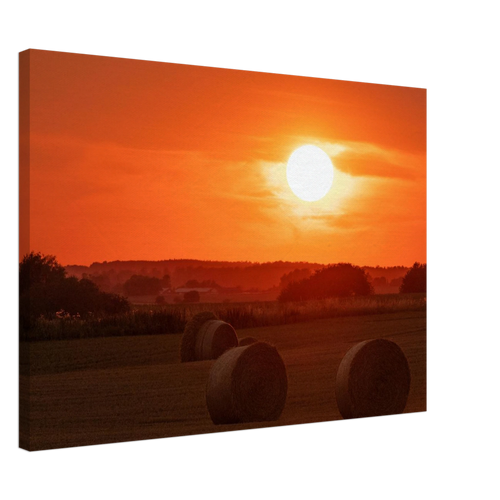 31c7b389-3a6b-4901-a2ce-f6ee78bf3983