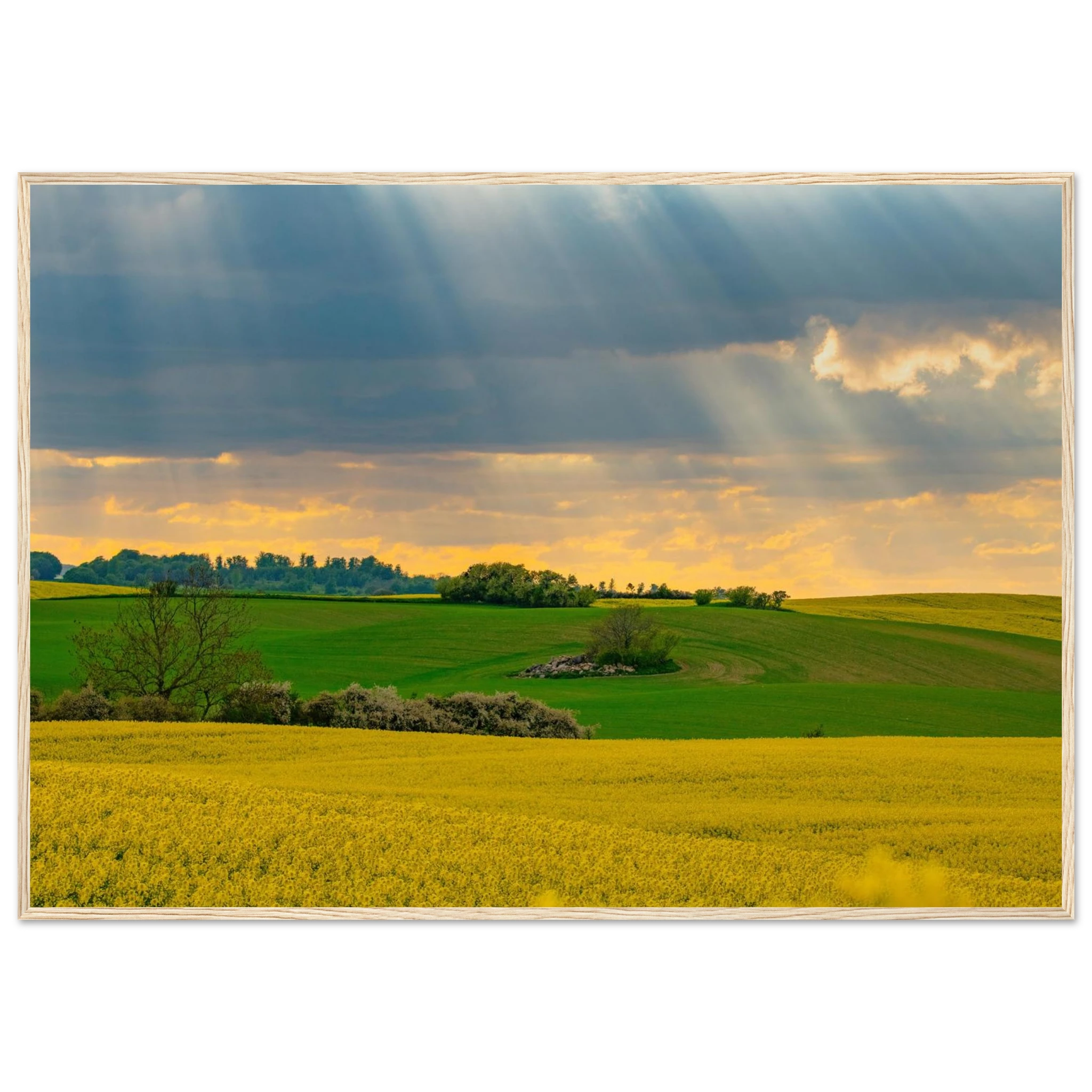 32df74f0-1365-4306-84bd-90292727552d