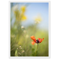 33337f50-3065-4627-a9ff-7bbdfc45325b