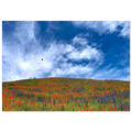 33a11814-7662-4dcd-9685-8119d9231bd6