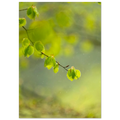 33d76599-a6c3-4093-a4a3-86736c517c26