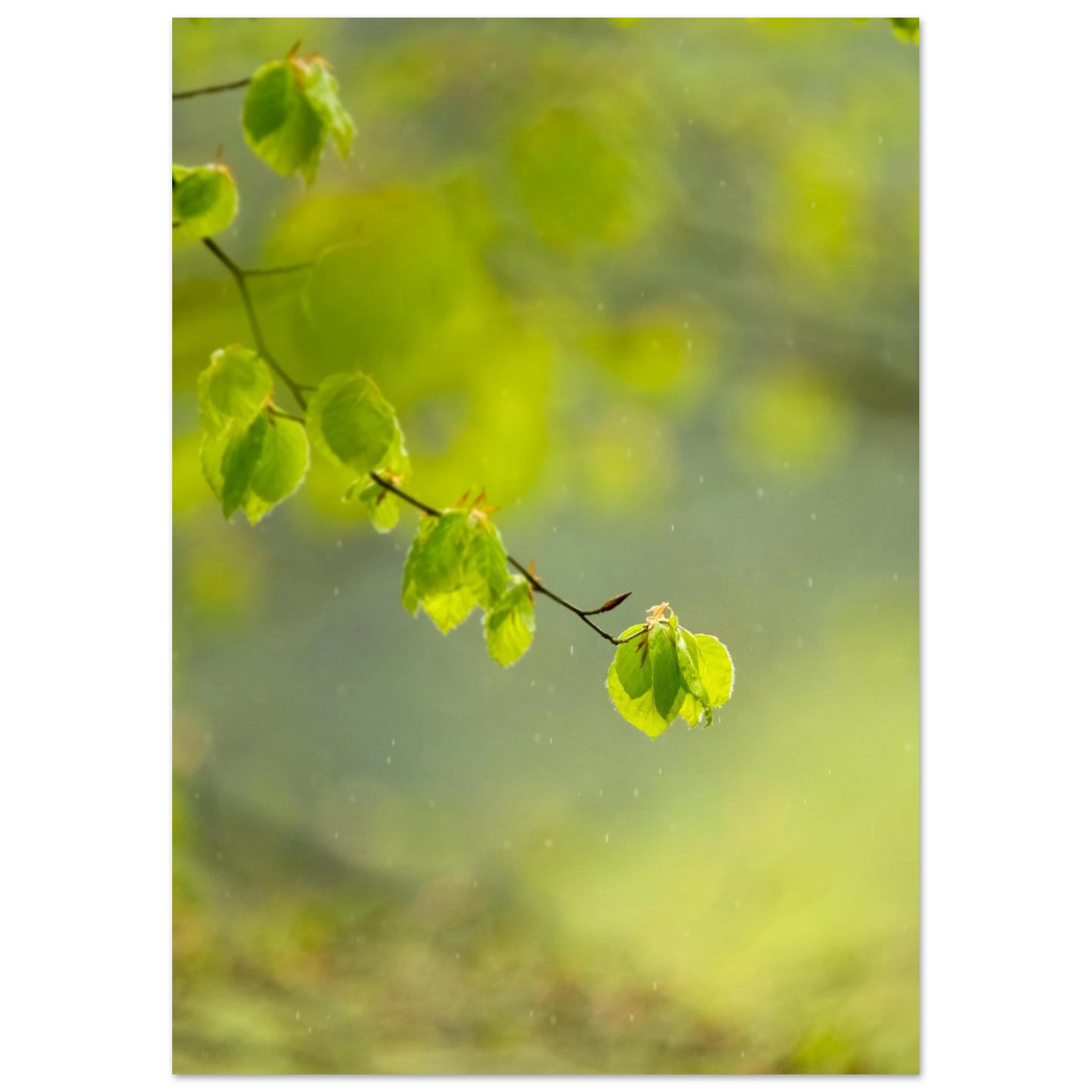 33d76599-a6c3-4093-a4a3-86736c517c26