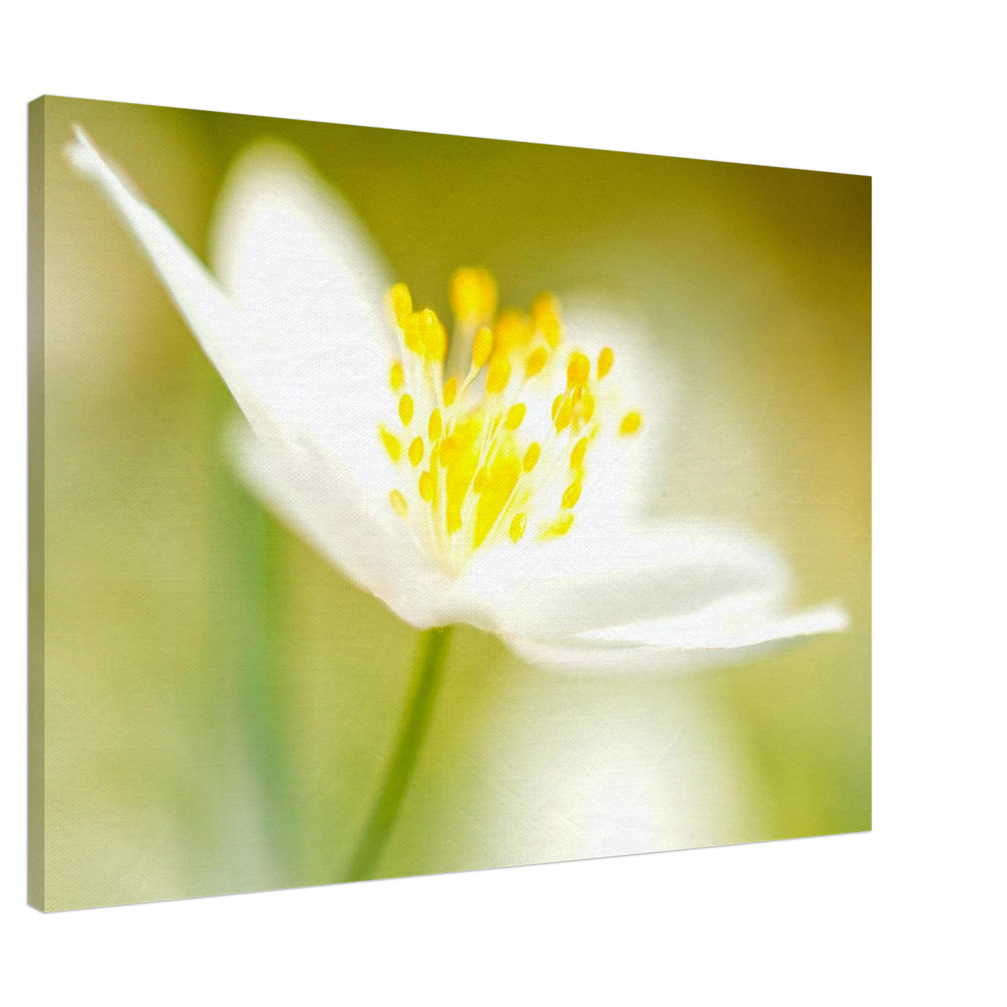 33f92e75-9ef7-4899-b614-aec532317b5c