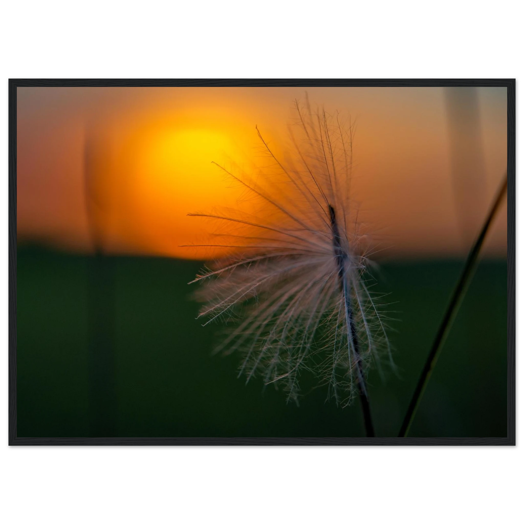 35350f0b-7984-4f2d-86f2-1eea13d99960
