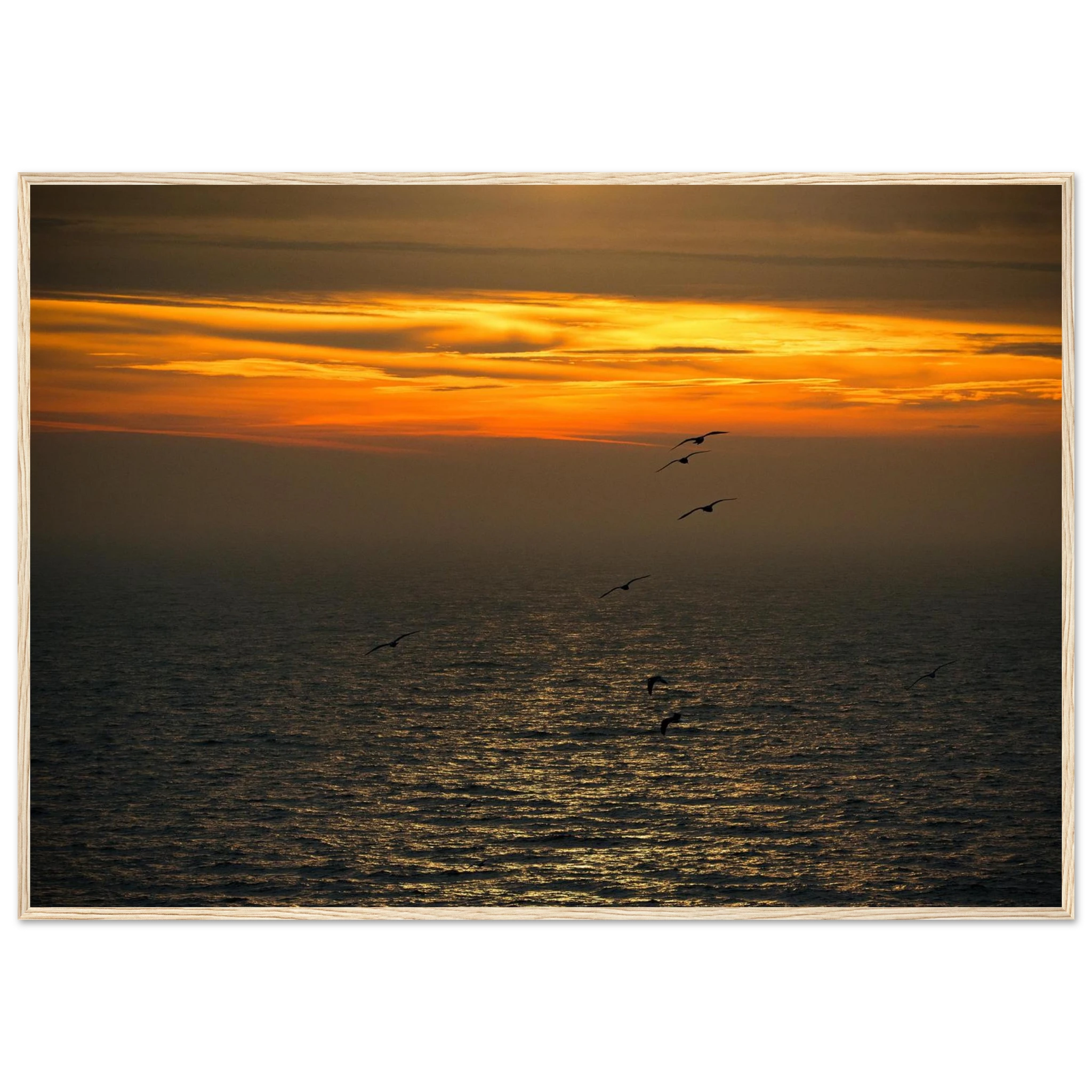 35d111b8-364d-44ca-a721-b728148c18b2
