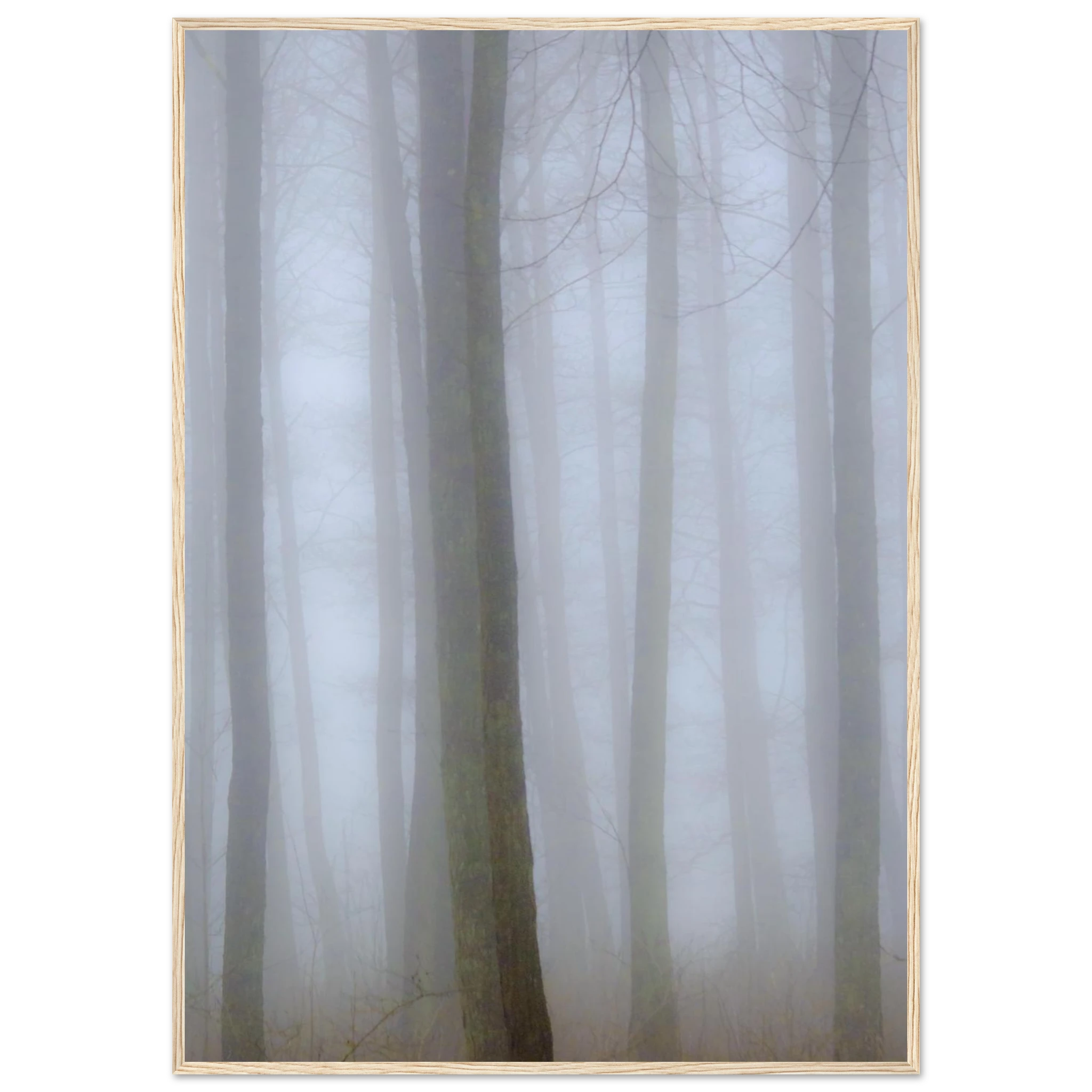 3633d960-f507-49c1-8fde-9cb1813cbf07