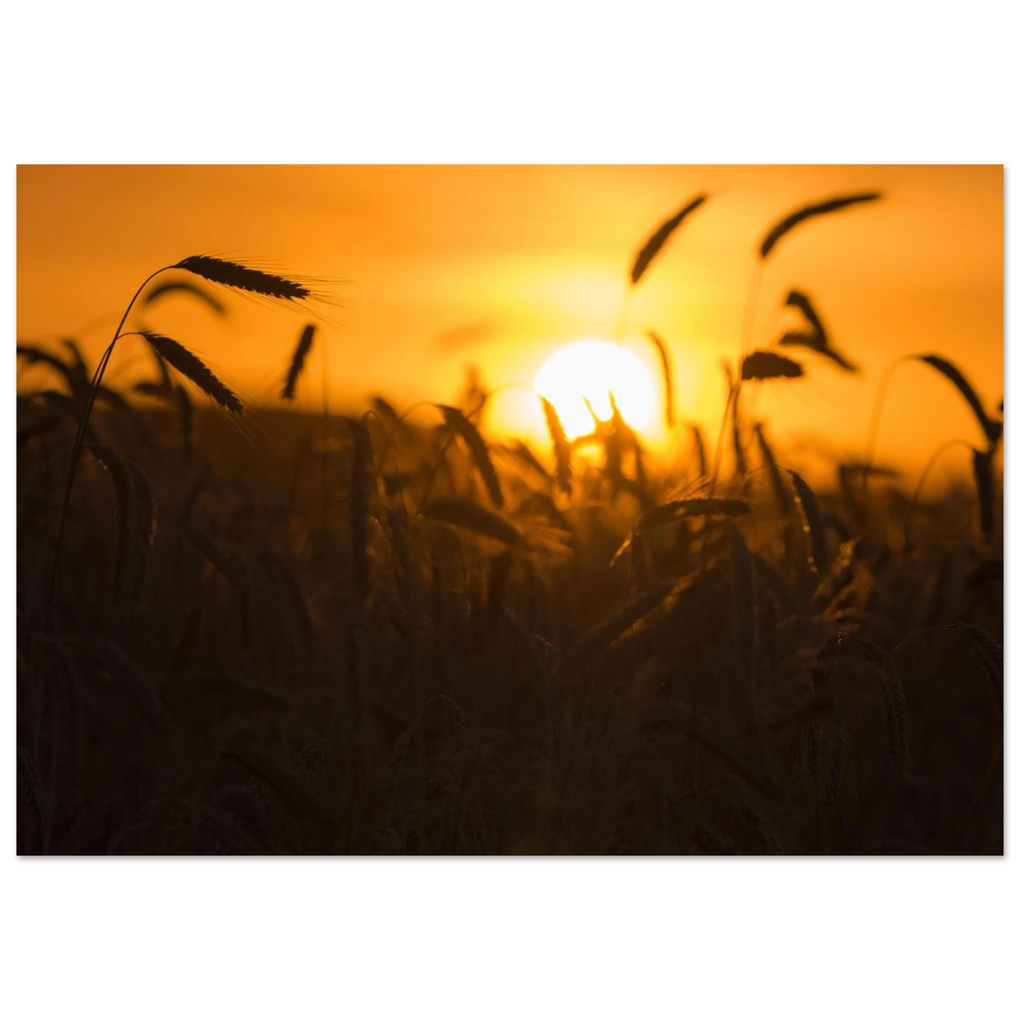369688a5-59ab-46a5-afc5-f8a95b50cd59