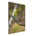 37bb4327-cccf-4f24-9895-b9b6e9e5b693
