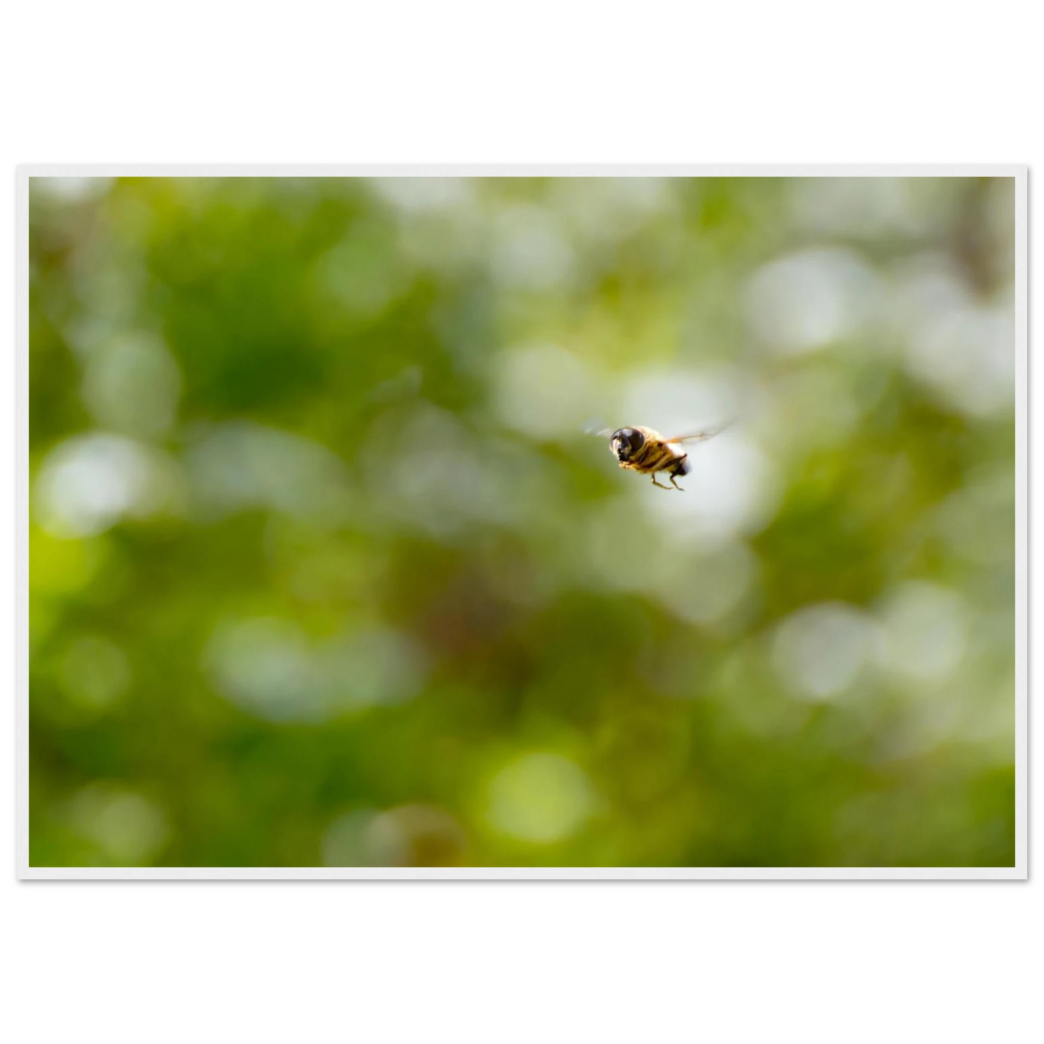 385d15e7-036f-4e08-88a9-96a1064e59ca