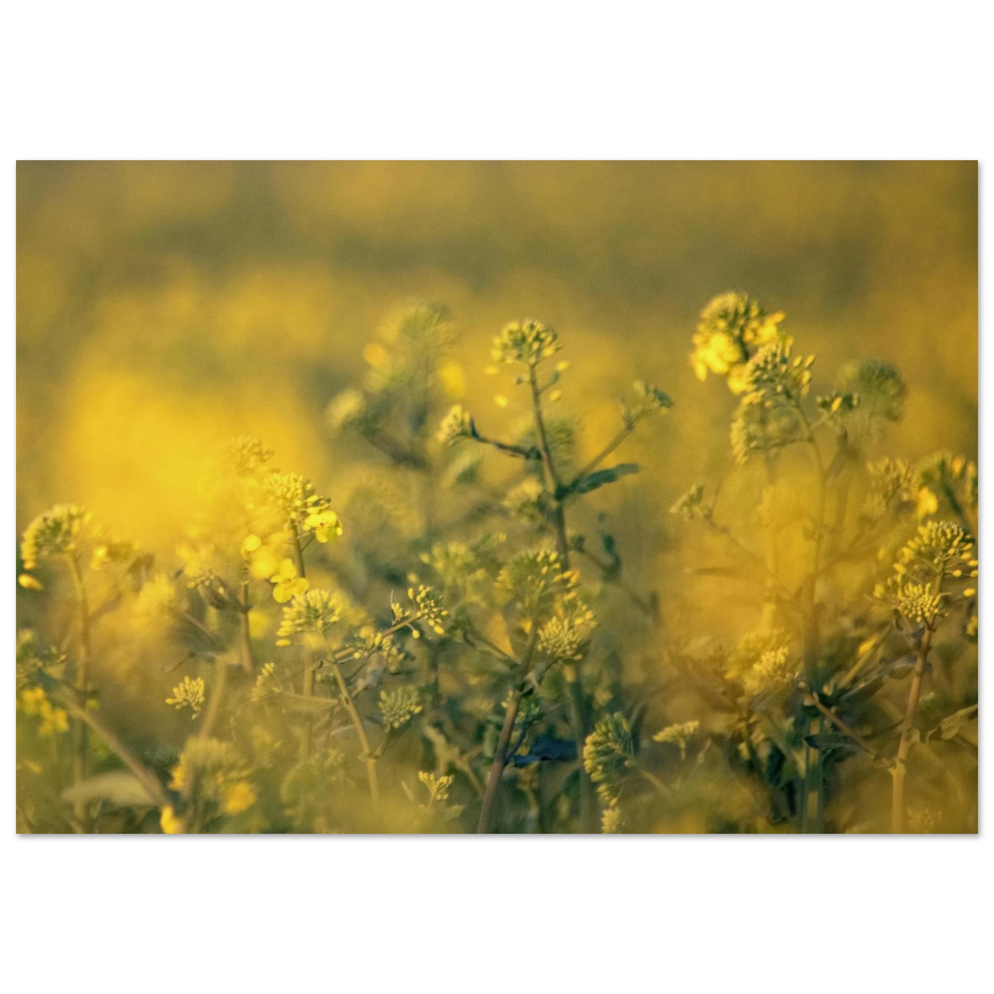 389100b0-9fac-49c8-a9e0-0d35242506e0