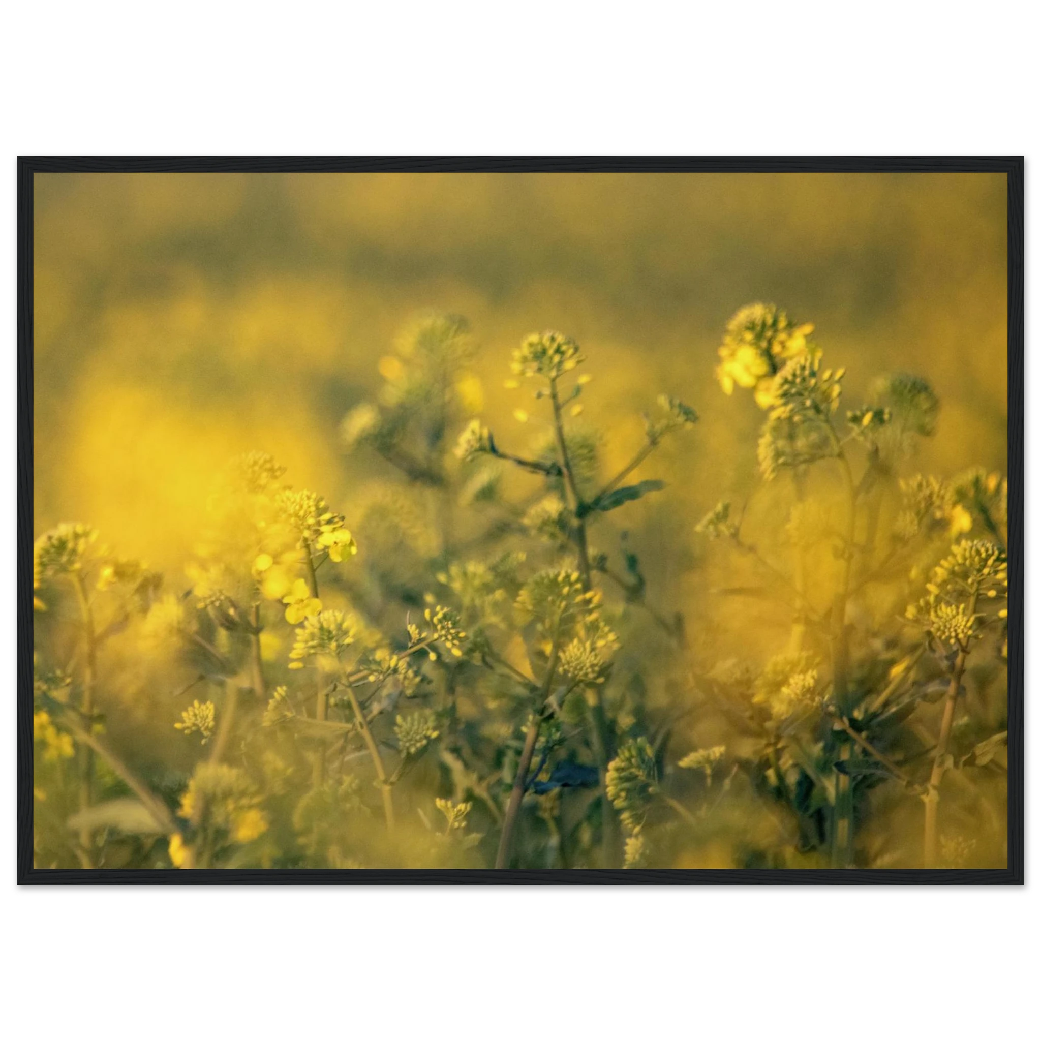 39724b79-466d-4e0f-8eb3-7c2fa7518f4e