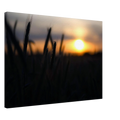 39f924b8-a6e8-4917-b783-6253b7e0a640