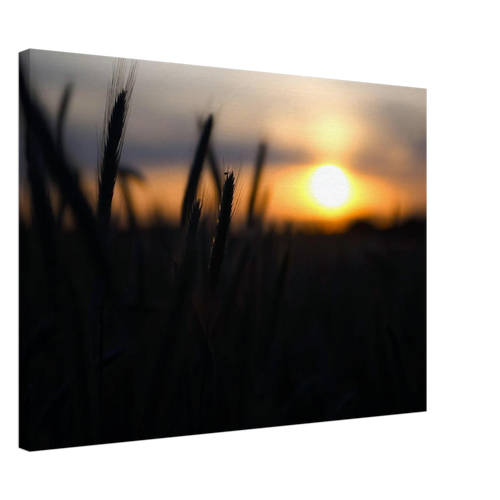 39f924b8-a6e8-4917-b783-6253b7e0a640