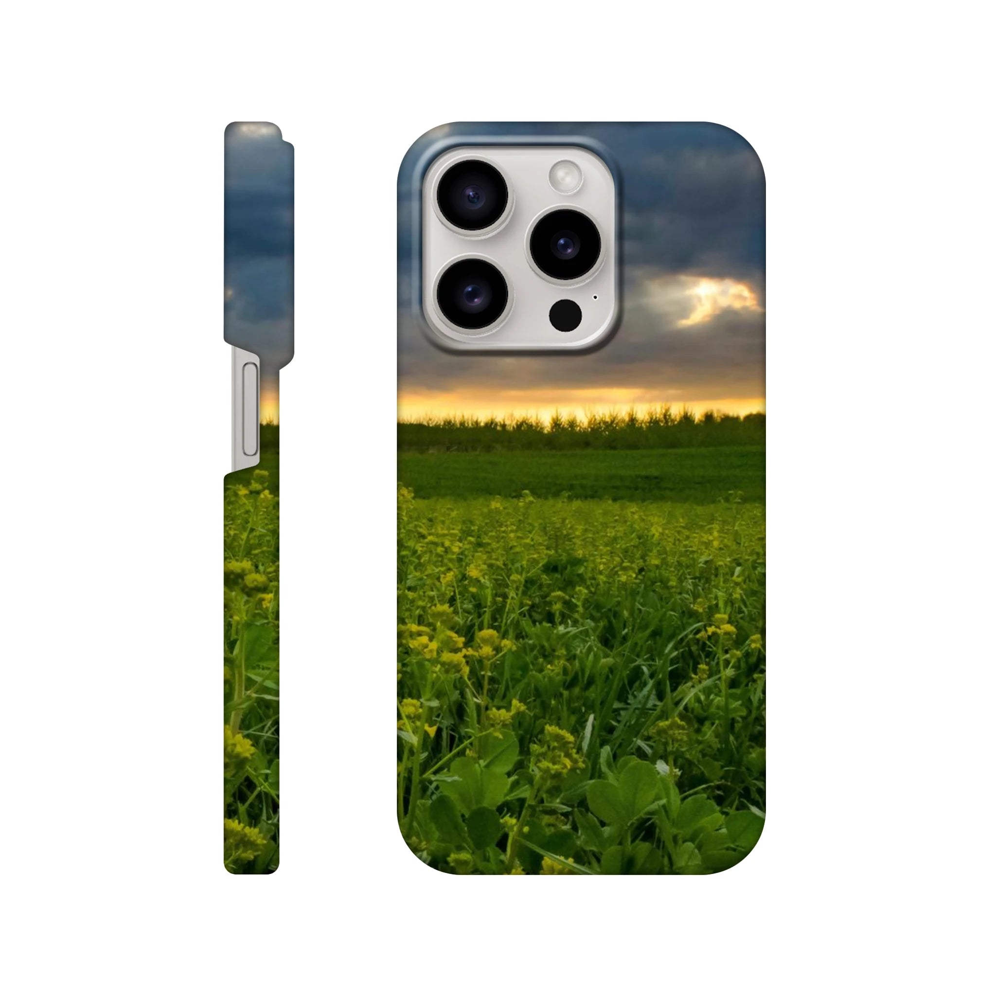 3b3b8b46-716a-44d0-9ac5-bd7cab47aabb