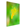 3c0e13ed-4917-4267-b284-33a4ac5762f7
