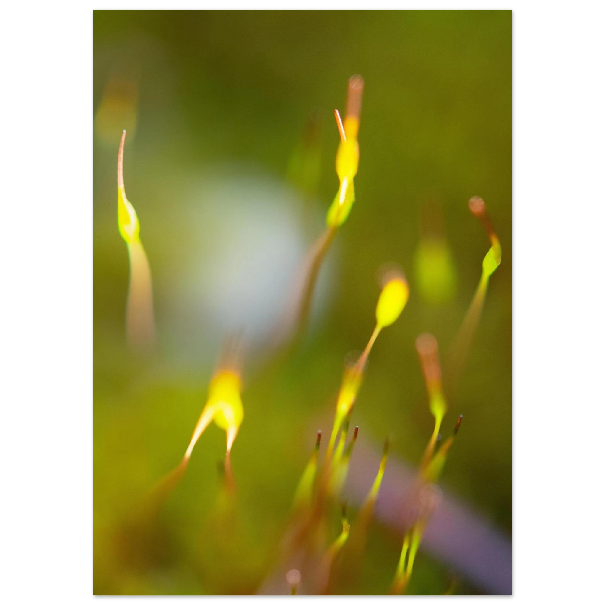 3c234f61-a902-4b37-b798-006d16c656b4