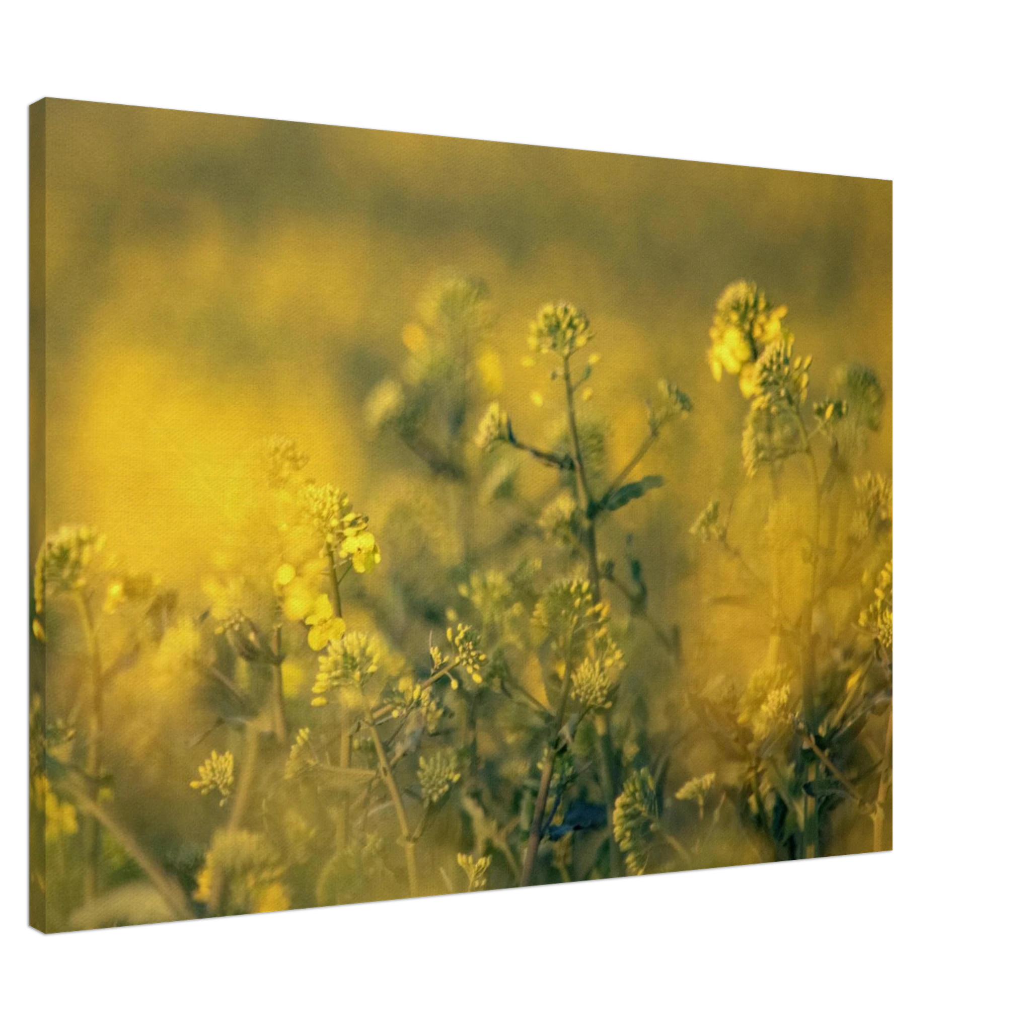 3cd43cc2-c826-4d24-a705-b457681bf771
