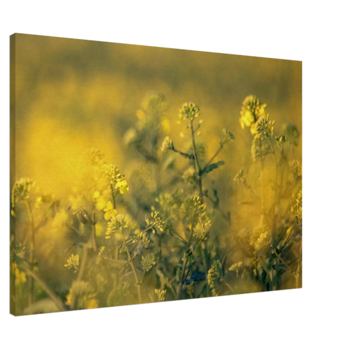 3cd43cc2-c826-4d24-a705-b457681bf771