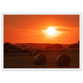 3d048311-0cc1-45c5-8248-5b7aa73b1b55