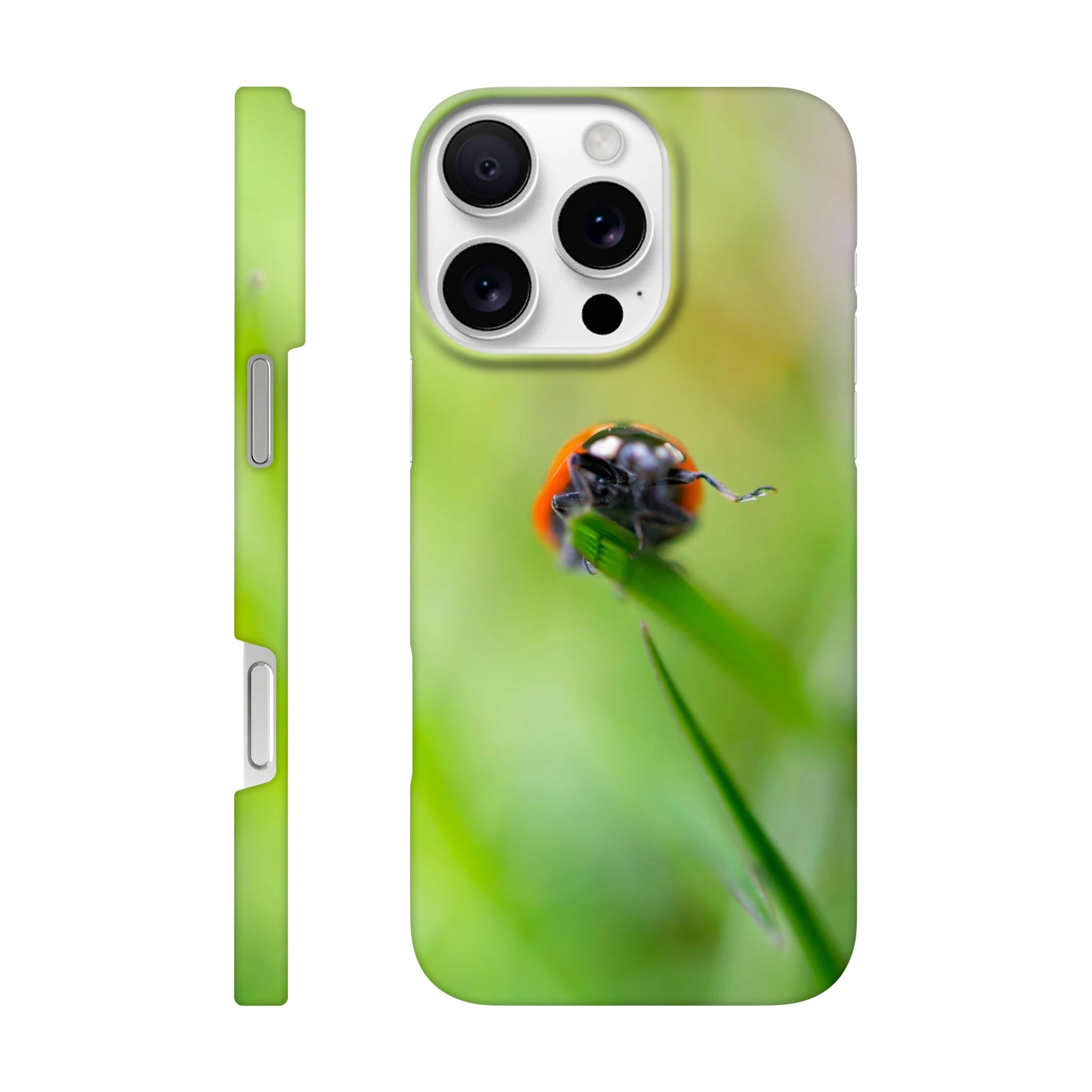 3d1de6b0-73fc-467a-9e83-cb95b570a732
