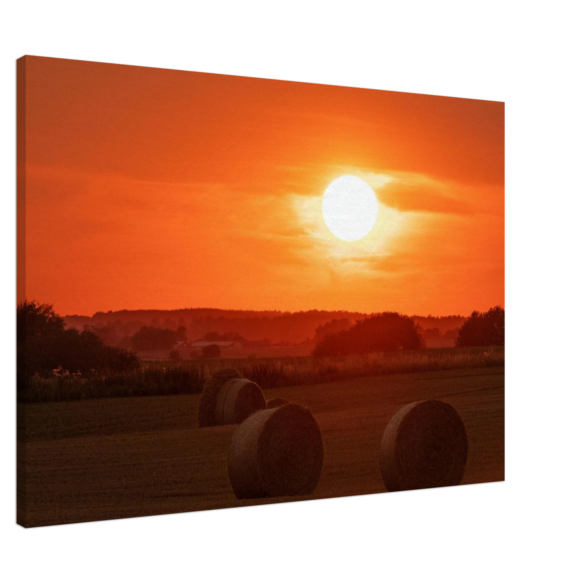 3d6d69bd-fa5e-4870-8b8f-2ca967916030