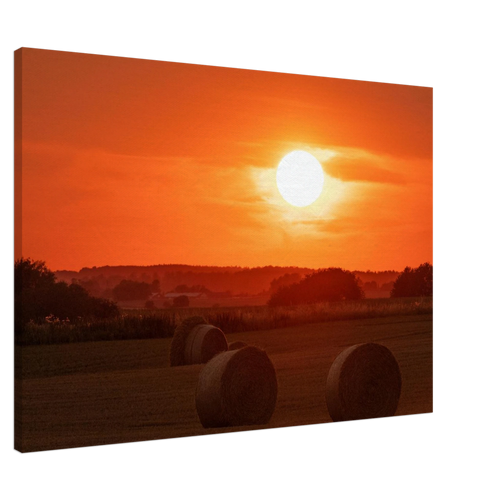 3d6d69bd-fa5e-4870-8b8f-2ca967916030