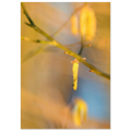 3da51b27-ae97-4ce5-b9b2-49d429b0ccb3