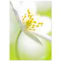 3e0faf0a-99fb-4f98-8fb5-dd6442ea3822