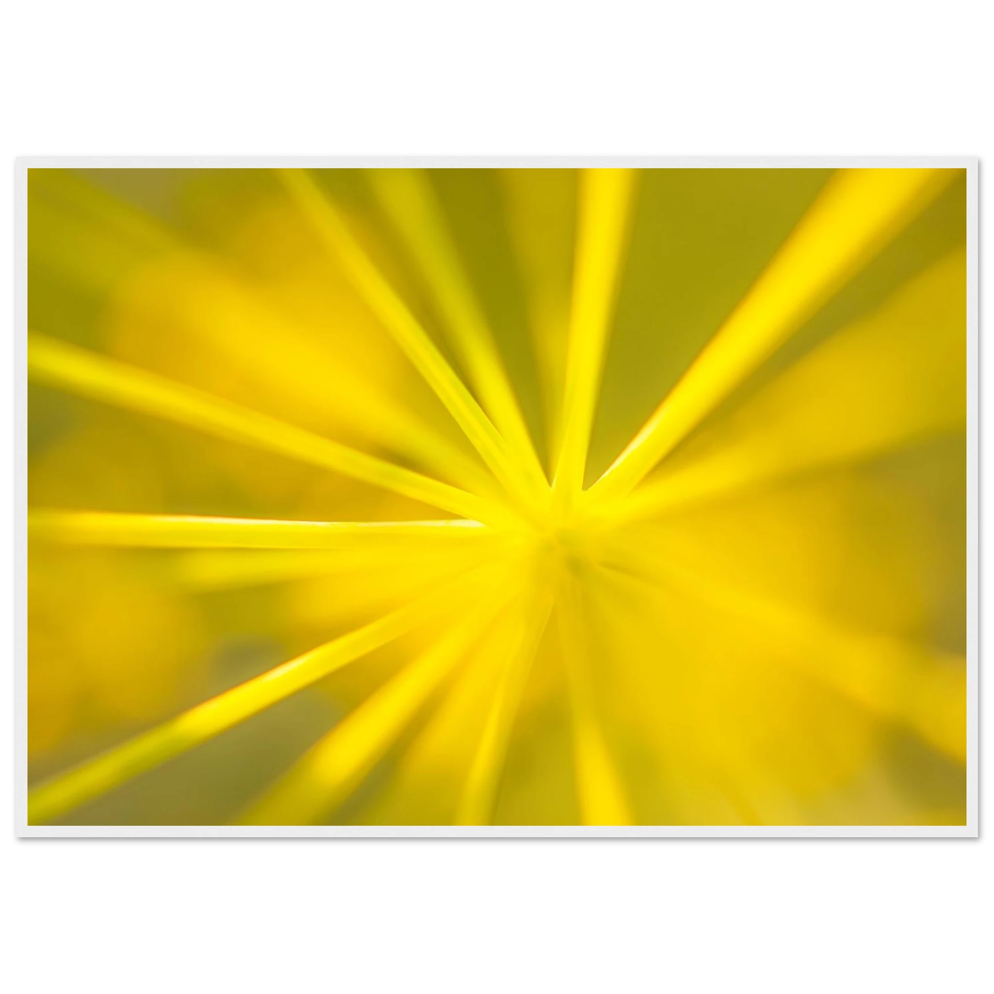 3e96b2b0-ab95-447d-a111-5592bff4c736