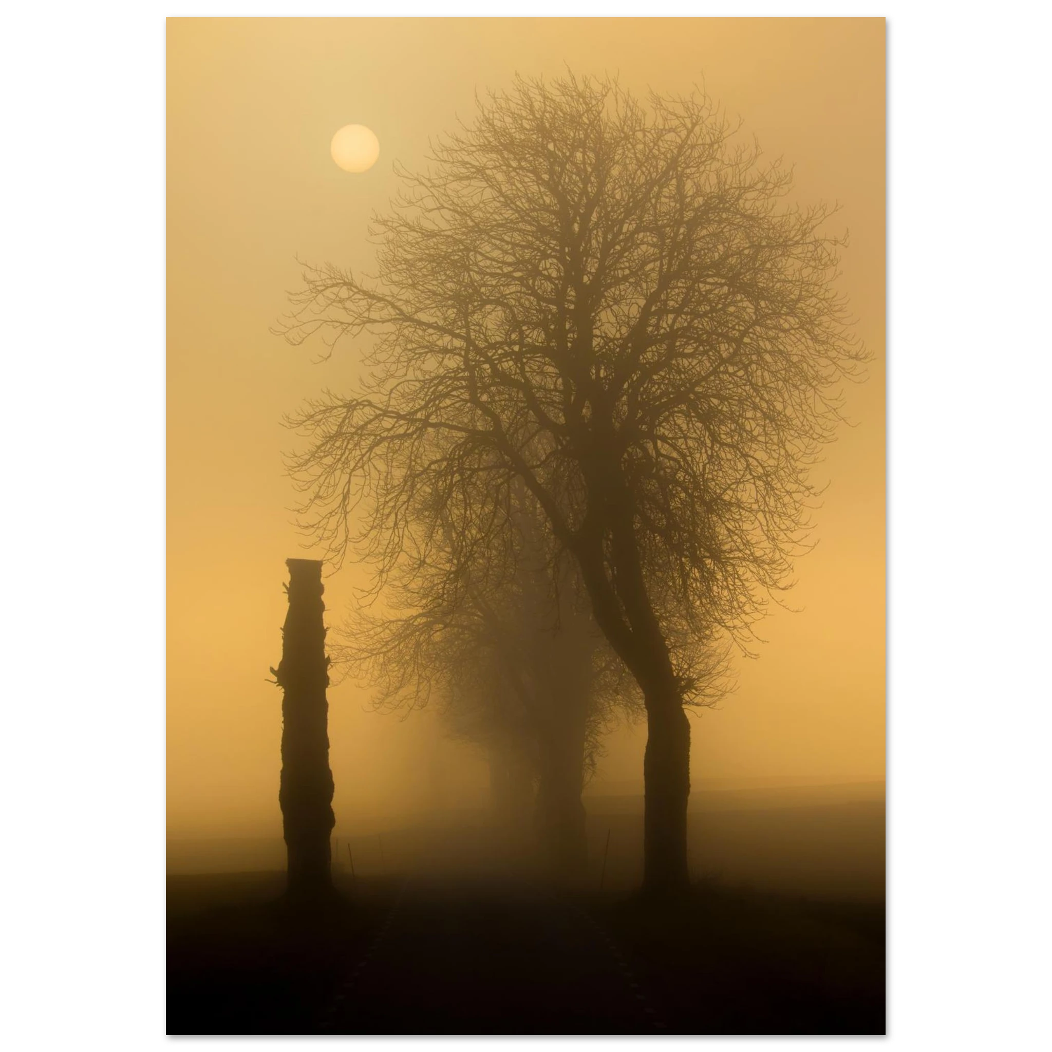 3eefdfcd-a8d5-4b11-8e48-3300135d4408