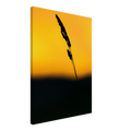 3f0d0fbb-9753-4bf5-a3fd-c4ca46809821