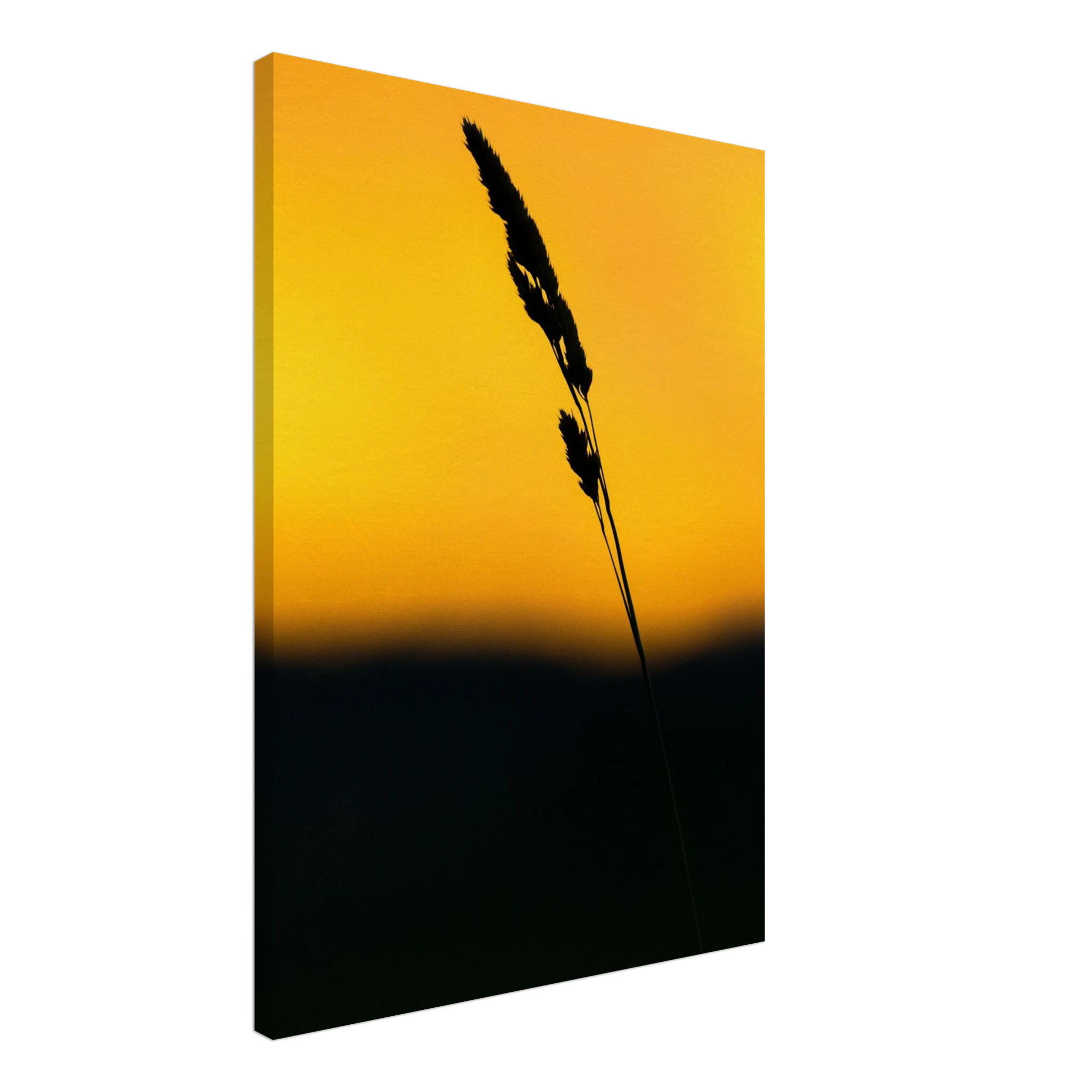 3f0d0fbb-9753-4bf5-a3fd-c4ca46809821