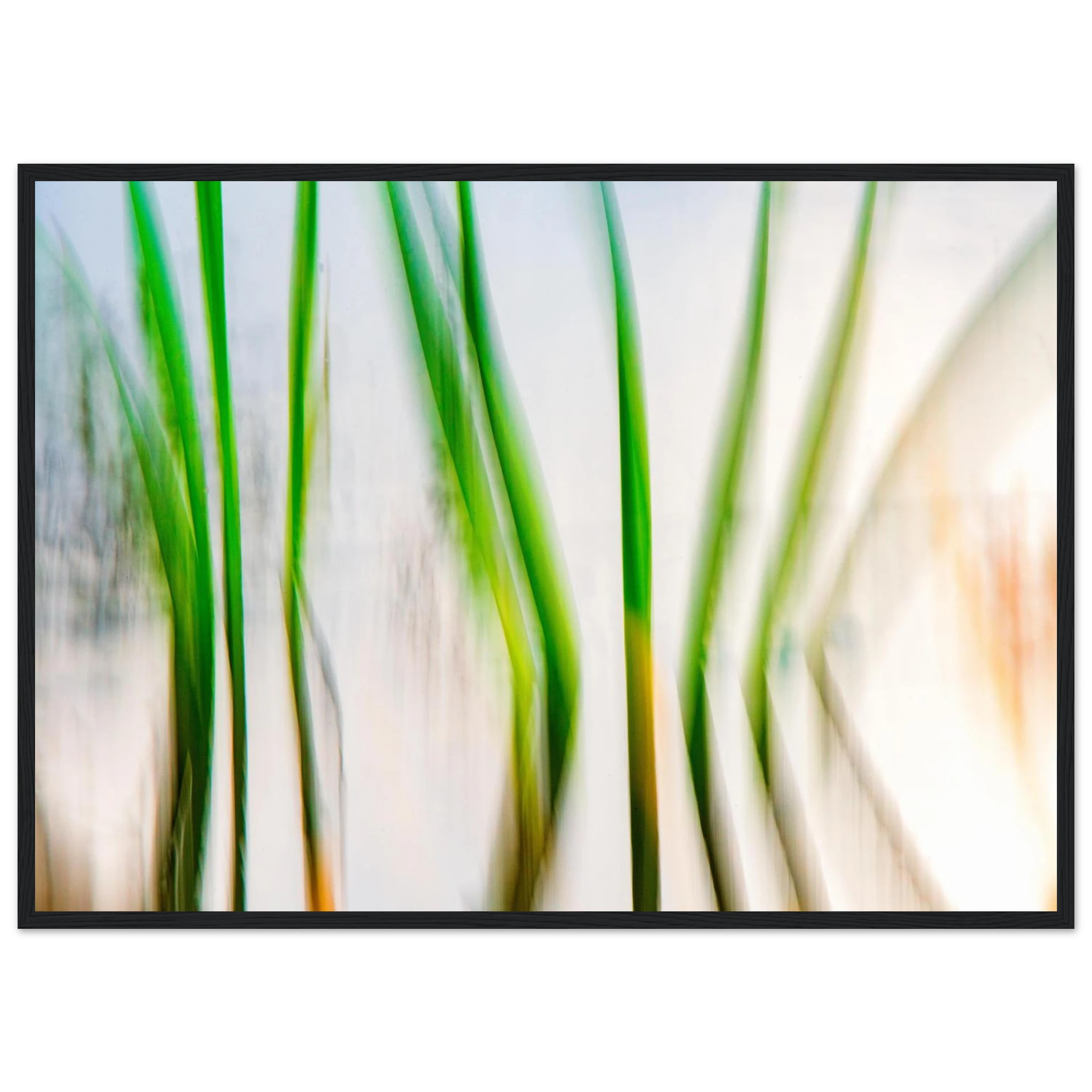 3fc5f203-5492-4e23-b728-28a02ea11e20
