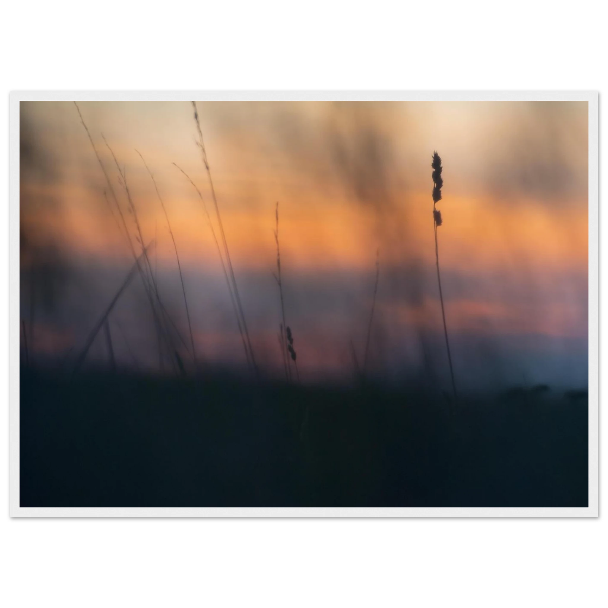 40060107-b45c-444b-9b7e-421dbf170451