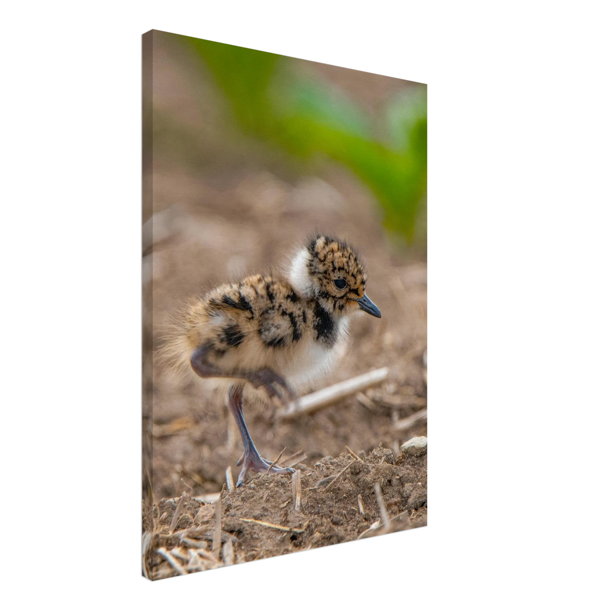 406b213d-9418-4c9a-aab9-c31bb8e0f222