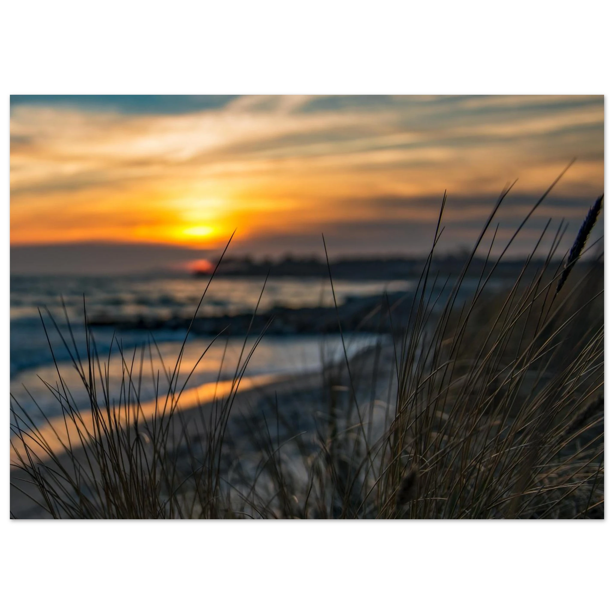 40e57820-9d09-4d1f-9163-77db94d9c725