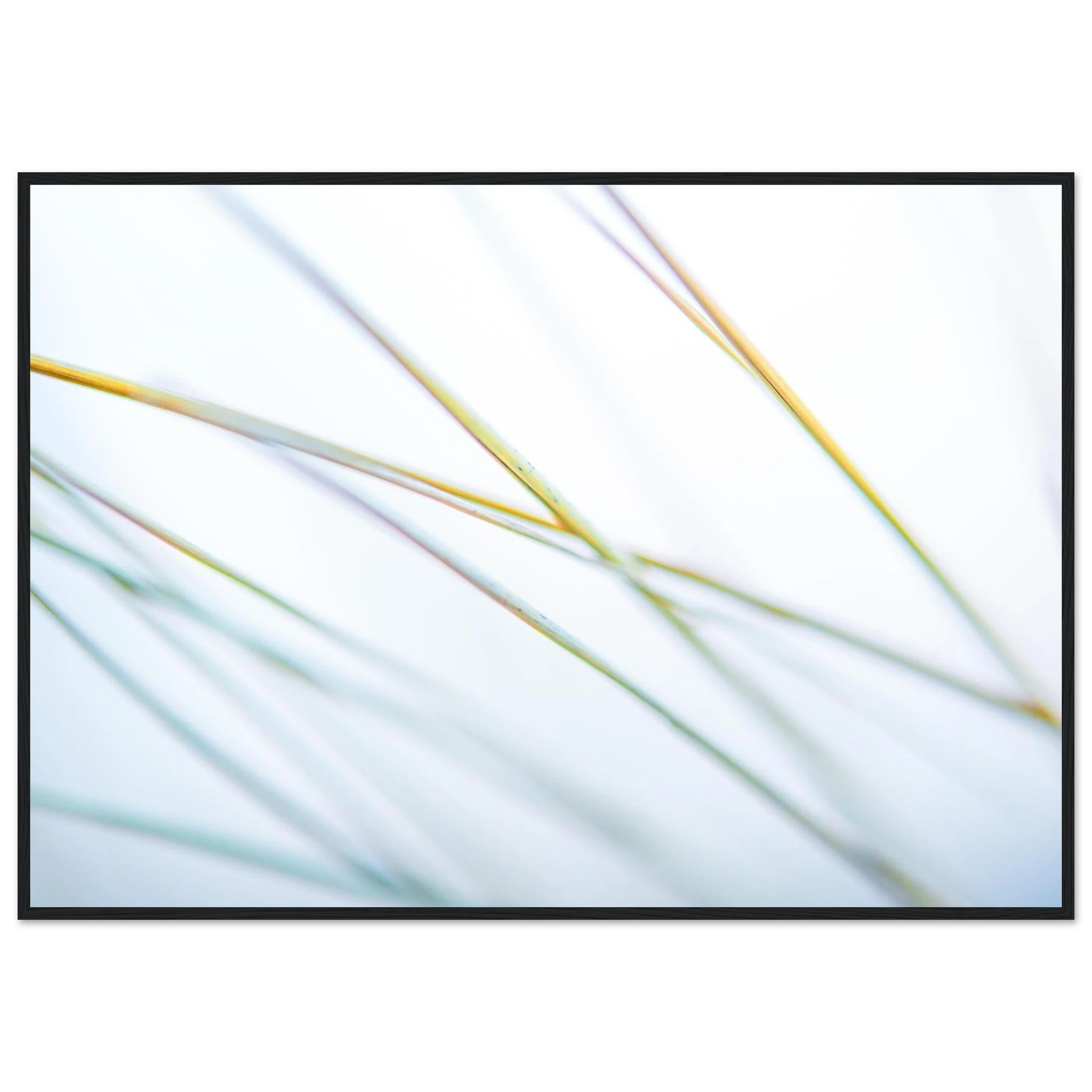42551f1b-9248-4e12-a903-20b884acbc95