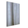 431bf3b5-faea-487c-a2dd-54781670bc30